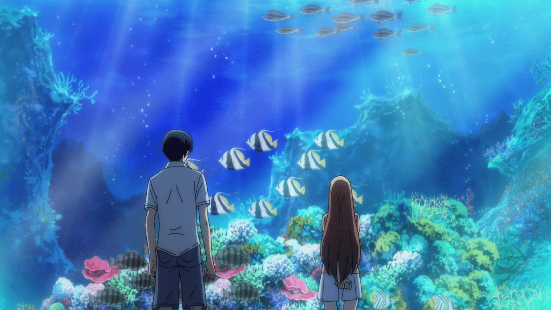 Grand Blue. odcinek 2